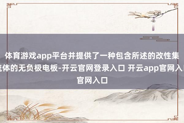 体育游戏app平台并提供了一种包含所述的改性集流体的无负极电板-开云官网登录入口 开云app官网入口